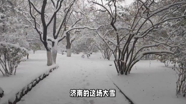 济南的这场大雪,仿佛给整座城市穿上了一层洁白的童话世界