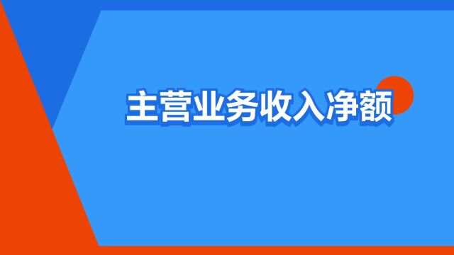 “主营业务收入净额”是什么意思?