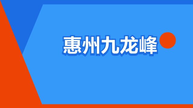 “惠州九龙峰”是什么意思?