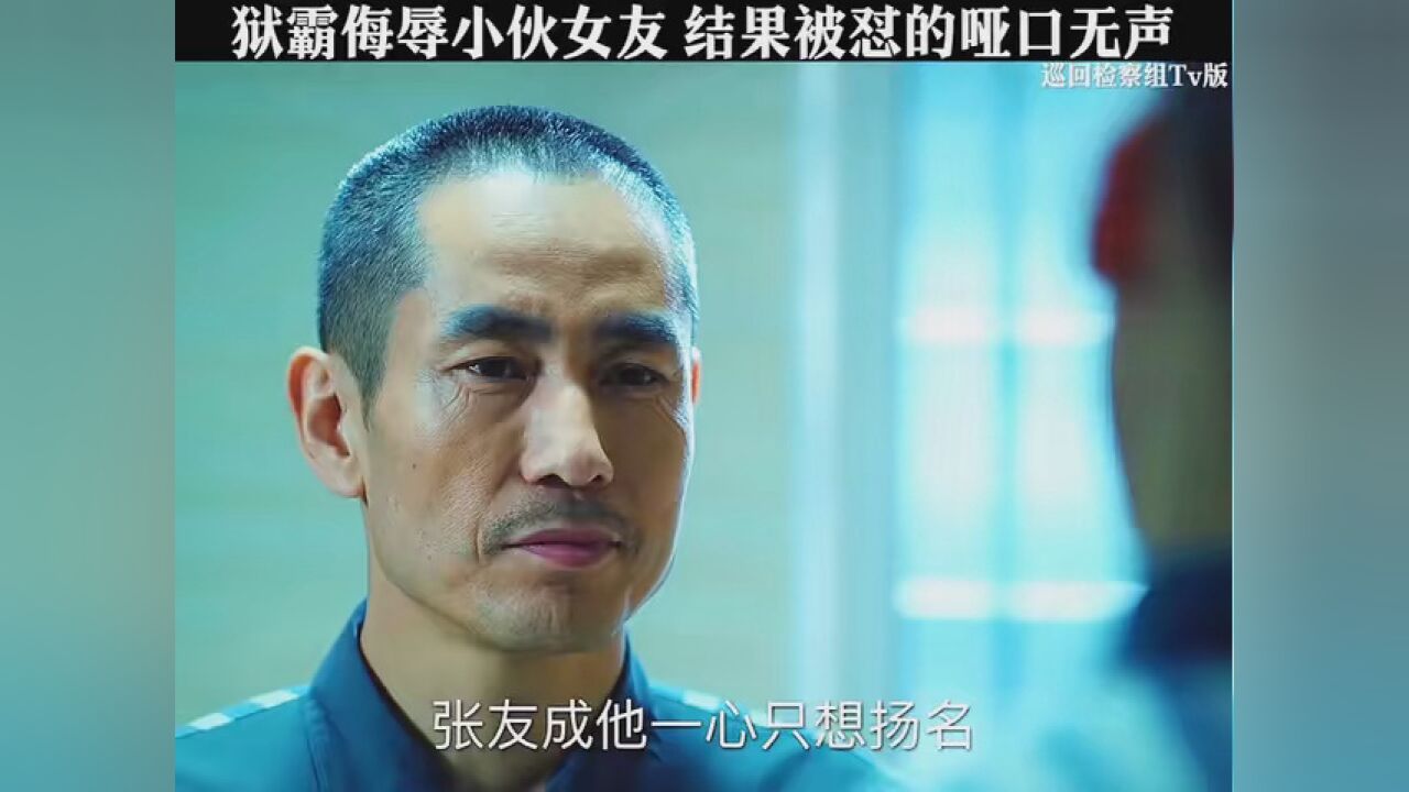 #巡回检察组TV版_高清