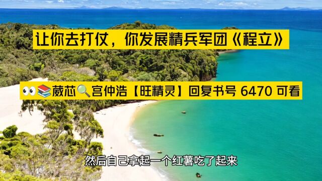 让你去打仗,你发展精兵军团《程立》全文TXT阅读○无删减