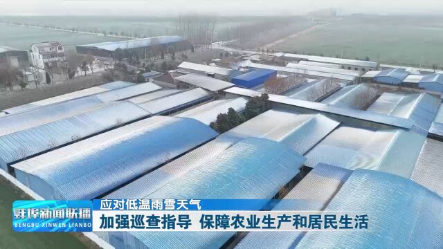 应对低温雨雪天气 加强巡查指导 保障农业生产和居民生活