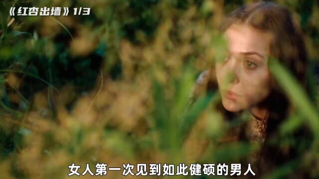 女人无法忍受压抑的婚姻,选择了一条不归路《红杏出墙13》 #高甜日剧#日剧推荐#悬疑推理#好片推荐