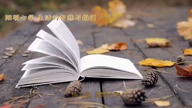 传习录王阳明哲学思想的探究三,我们为什么要学习阳明心学第2小段