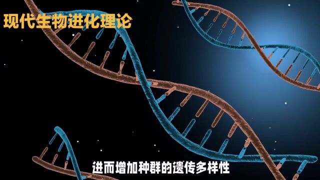 现代生物进化理论:揭示物种起源和多样性的奥秘