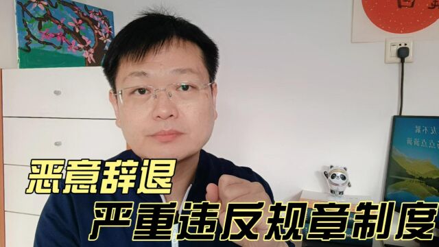 恶意辞退,严重违反规章制度,如何应对?