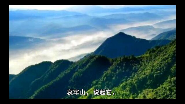 云南小众旅游推荐——哀牢山