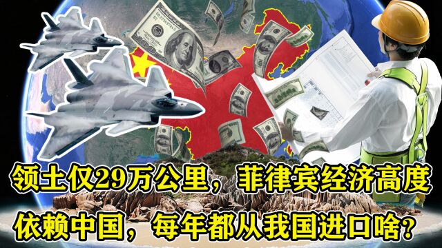 领土仅29万公里,菲律宾经济高度依赖中国,每年都从我国进口啥?