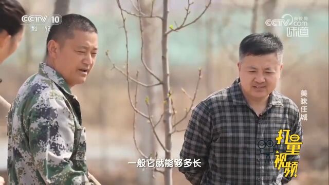 用鱼叉捕鱼,想吃哪个“叉”哪个!任城人捕鱼方式独具特色