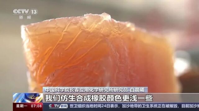 航空轮胎跑出中国“加速度” 仿生合成橡胶是如何炼成的?丨国之重器 硬核所在 | 中央电视台