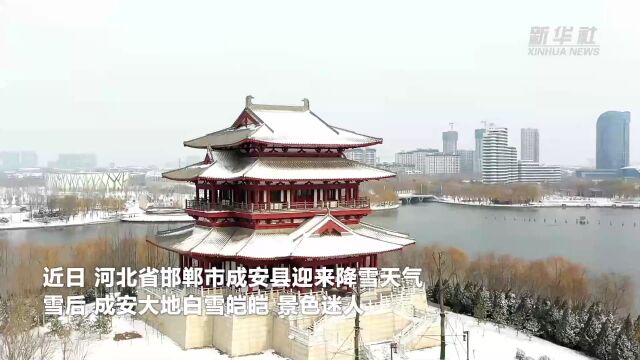 千城胜景|河北成安:雪后风景宛如水墨画卷