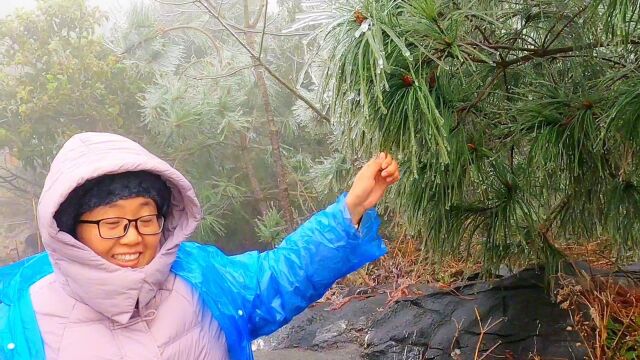 银装素裹,广东韶关的千里雾凇雪景,晶莹剔透,分外妖娆