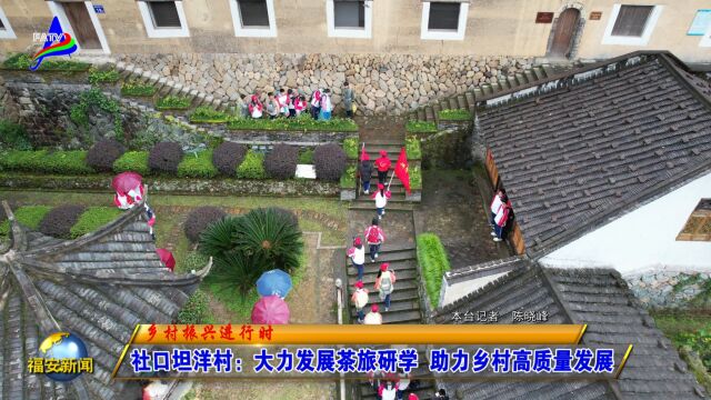 20231227社口坦洋村:大力发展茶旅研学 助力乡村高质量发展