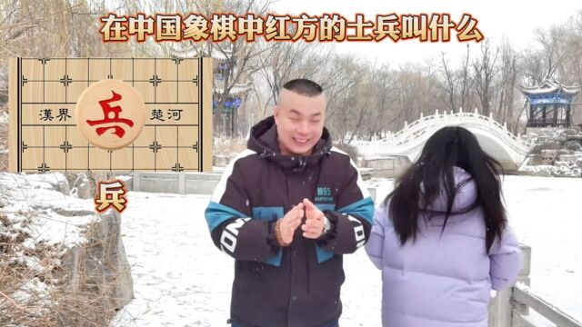 中国象棋小知识