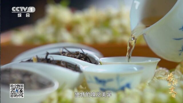 《农耕探文明》:花与茶,如何碰撞出“冰糖甜”味的茉莉花茶?