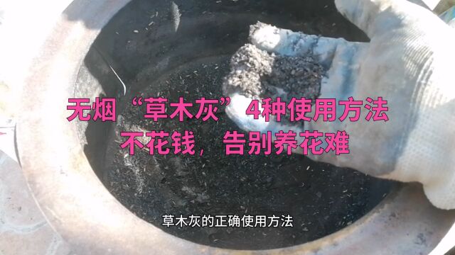 不花钱,无烟“草木灰”4种使用方法,告别养花难