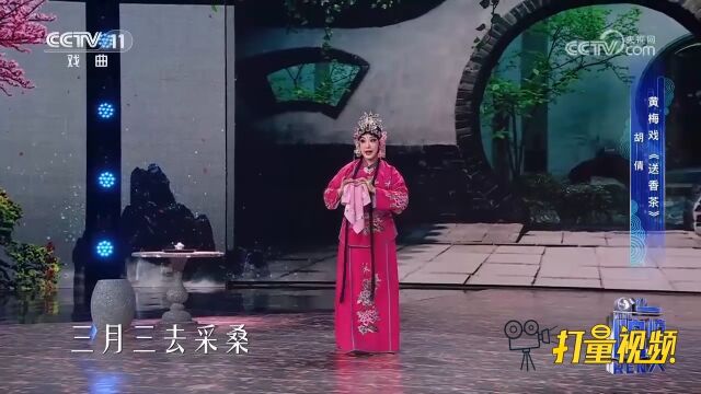 黄梅戏《送香茶》,胡倩表演,胭脂红轻点染我美如嫦娥