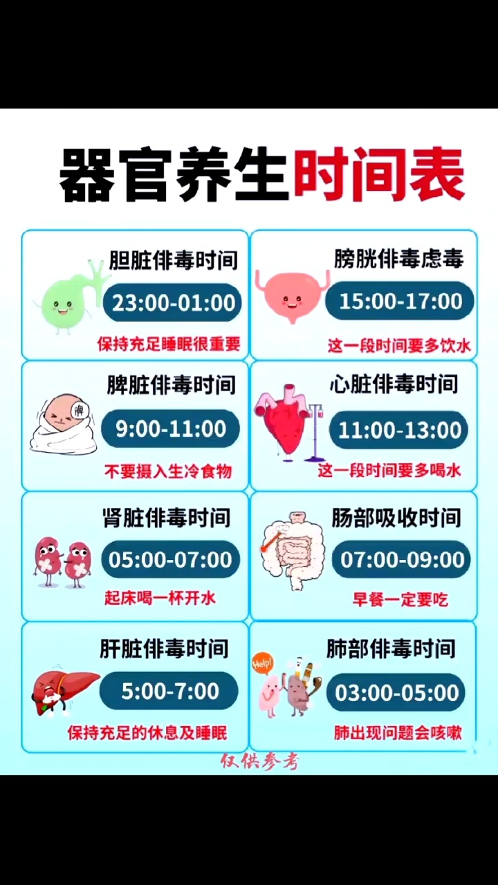 器官养生时间表_高清1080P在线观看平台_腾讯视频