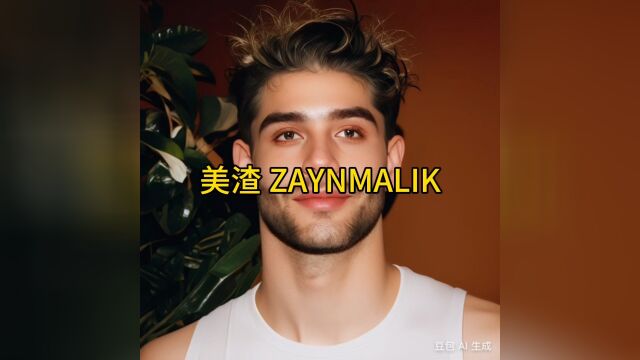 “美渣ZAYNMALIK”明星同名商标