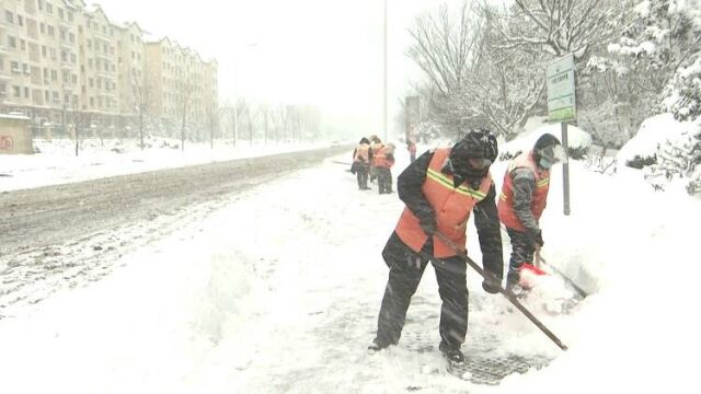 荣成市:昼夜不歇 全力清雪保畅通