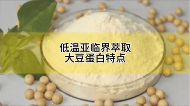 亚临界低温萃取大豆蛋白有哪些特点?亚临界萃取技术在植物蛋白的应用#大豆蛋白提取设备 #亚临界萃取设备 #亚临界装备广泛应用于高端油脂 #亚临界萃取...