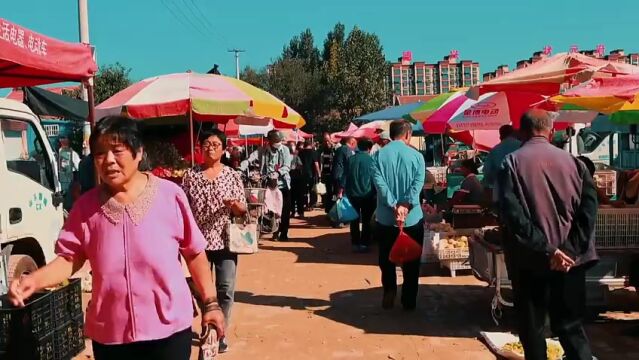 金秋十月,来德州夏津香赵庄赶一场“农”情盛会