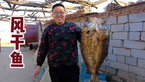 380买条22斤花鲢鱼，秘制风干鱼，晾晒20多天，结果成了咸鱼！