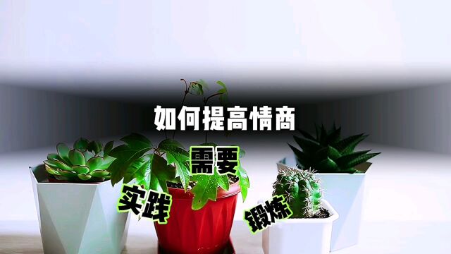 如何提高情商?需要时间的时间和锻炼