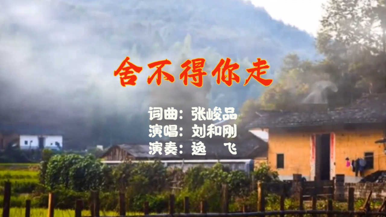 二胡版《舍不得你走》触动心弦的伤感