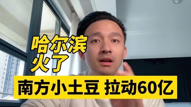 哈尔滨旅游火了 创下历史新高