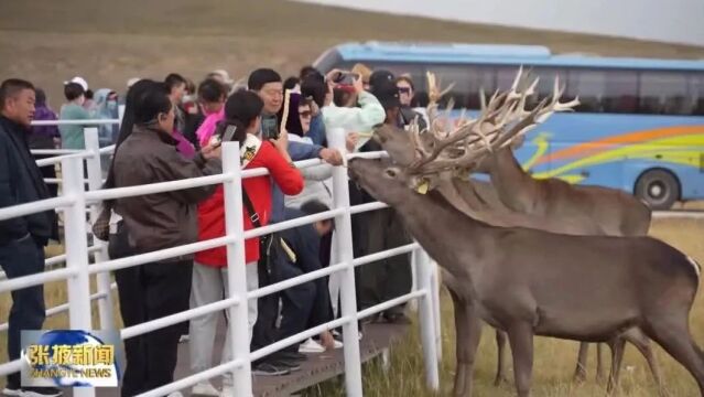 【视频】肃南县全年接待游客372万人次 实现旅游综合收入17亿元