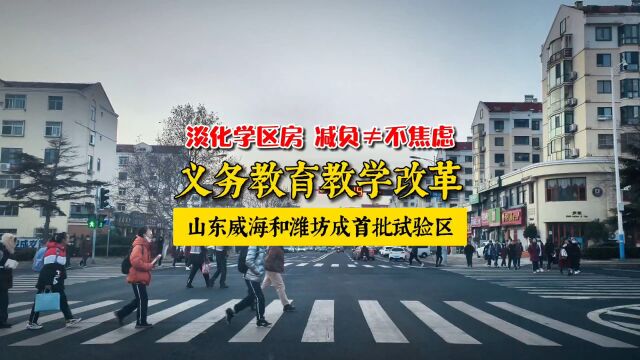 威海和潍坊成为山东教育改革试验区,为什么不是济南和青岛?