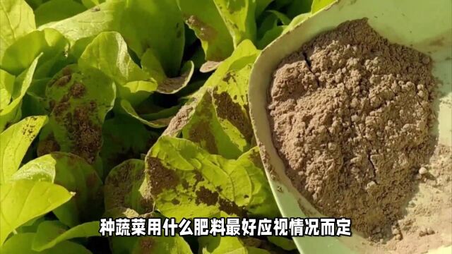 种蔬菜用什么肥料