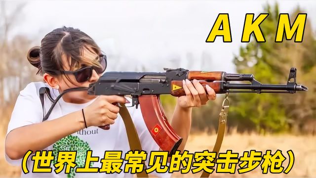 AKM突击步枪(标志性武器AK47的现代化版本)简单 有效 可靠