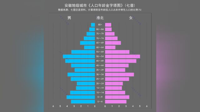 安徽地级城市《人口年龄金字塔图》(七普)