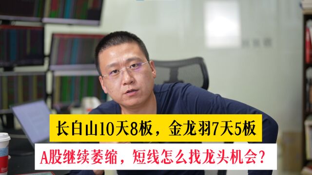 长白山10天8板,金龙羽7天5板, A股继续萎缩,短线怎么找机会?