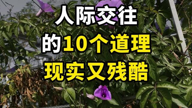 人际交往的10个道理,现实又残酷