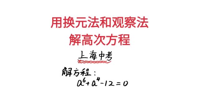 上海中考数学题,用换元法和观察法解一元六次方程方程