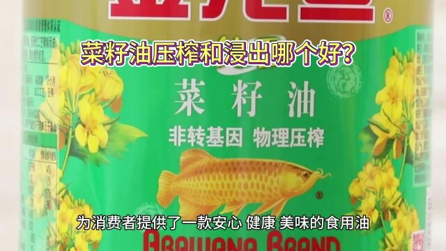 菜籽油压榨和浸出哪个好?专家解析菜籽油制作的奥秘