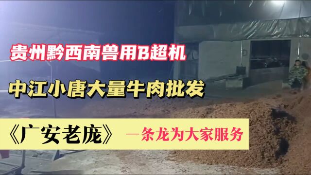 贵州晴隆兽用B超机,中江小唐每天牛肉批发,广安老庞一条龙供应