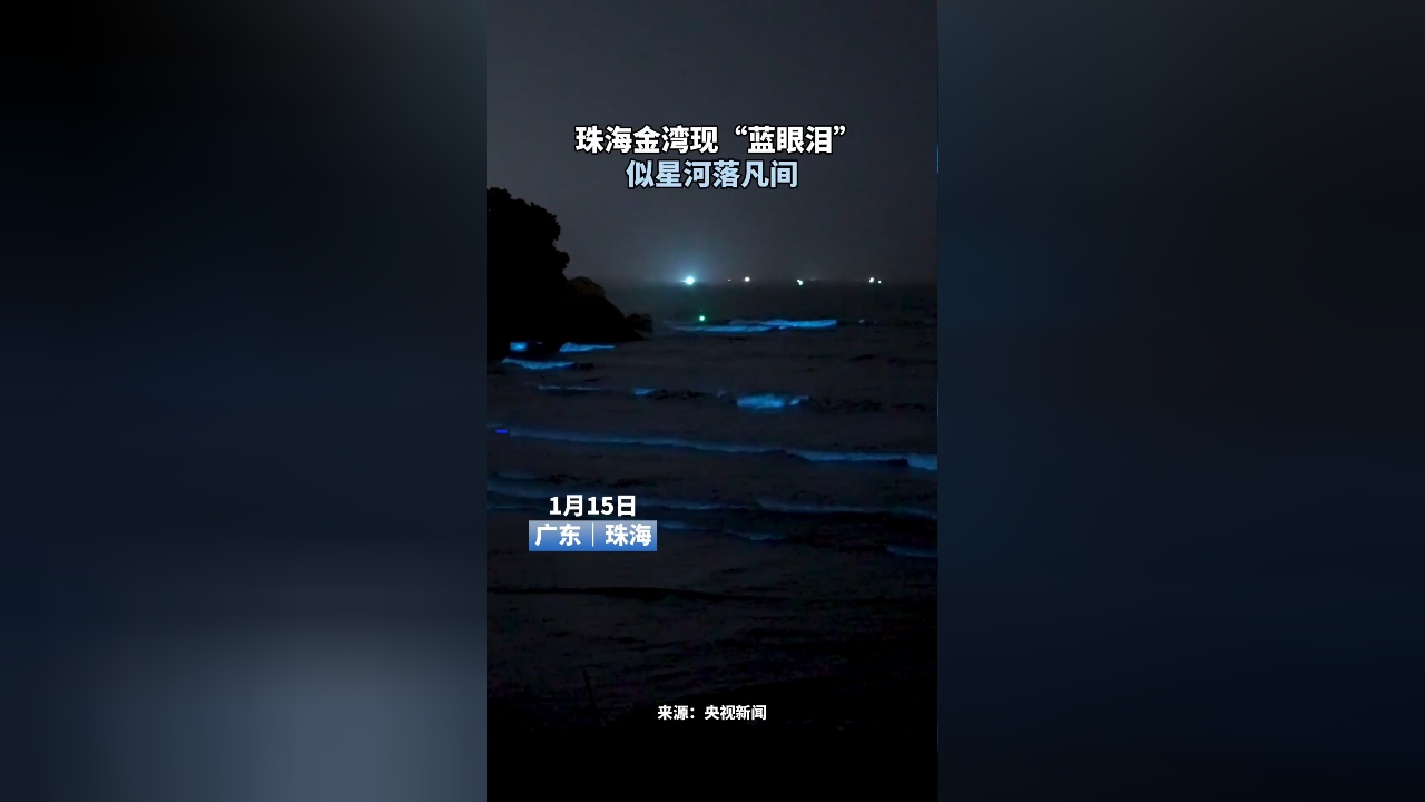 珠海金灣現藍眼淚似星河落凡間