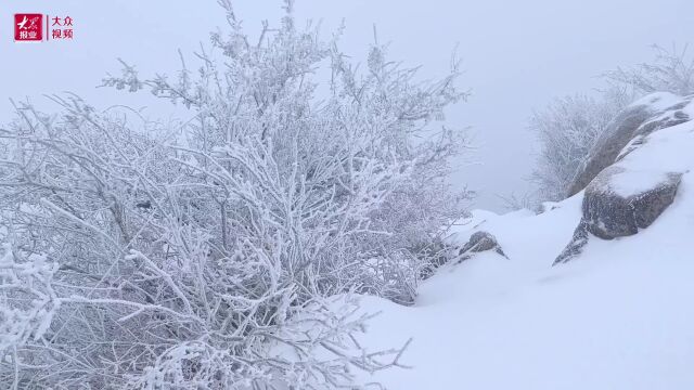 冰雪版泰山再次上线!网友:这是通往仙界的路吧!