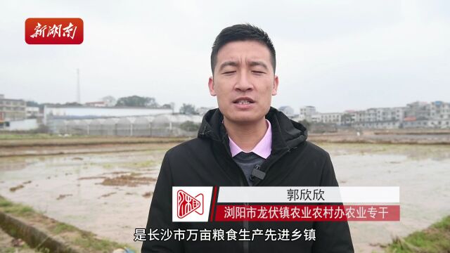 浏阳早春集中育秧为春耕生产加速