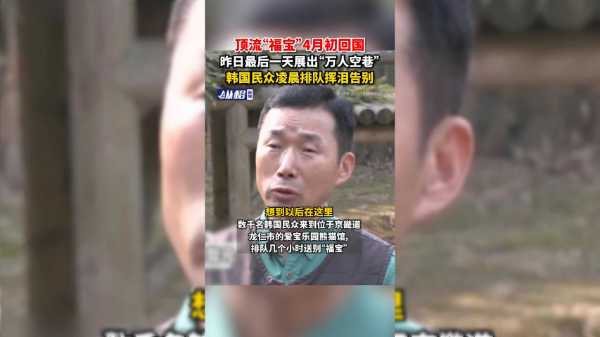 顶流"福宝"4月初回国,昨日最后一天展出"万人空巷",韩国民众凌晨排队