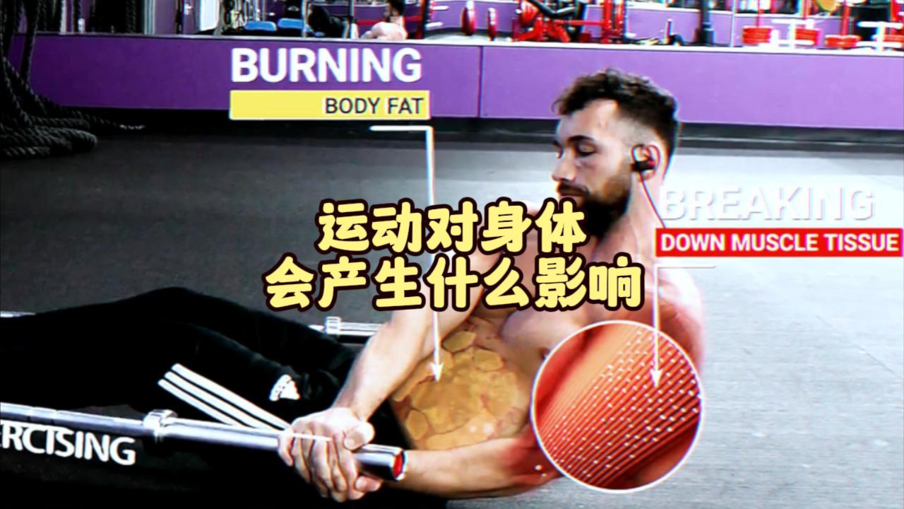 运动对你的身体会产生什么影响