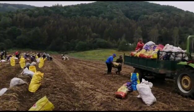 哈尔滨市阿城区寒地龙药破土成金