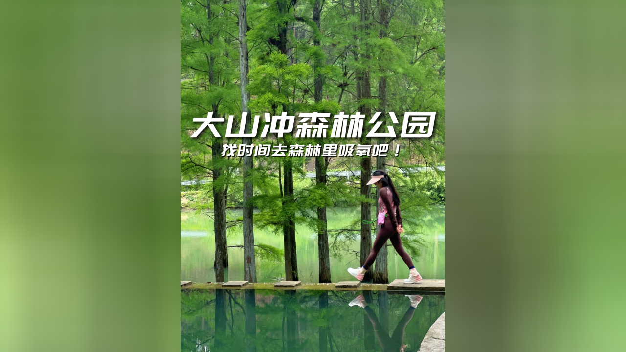 找时间去森林里吸氧吧!丨大山冲森林公园