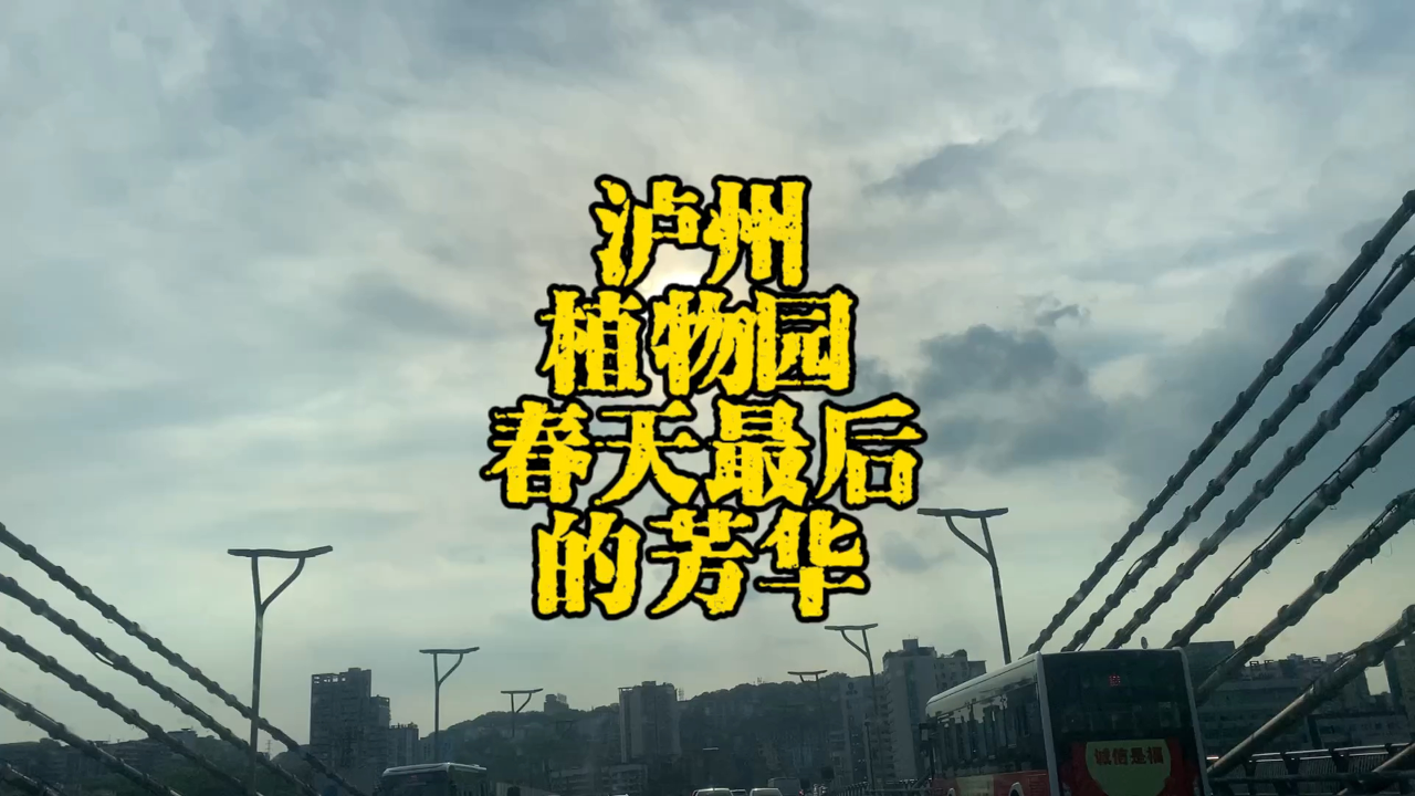 泸州植物园,一路繁花似锦集满春天的芳华,错过就要等一年