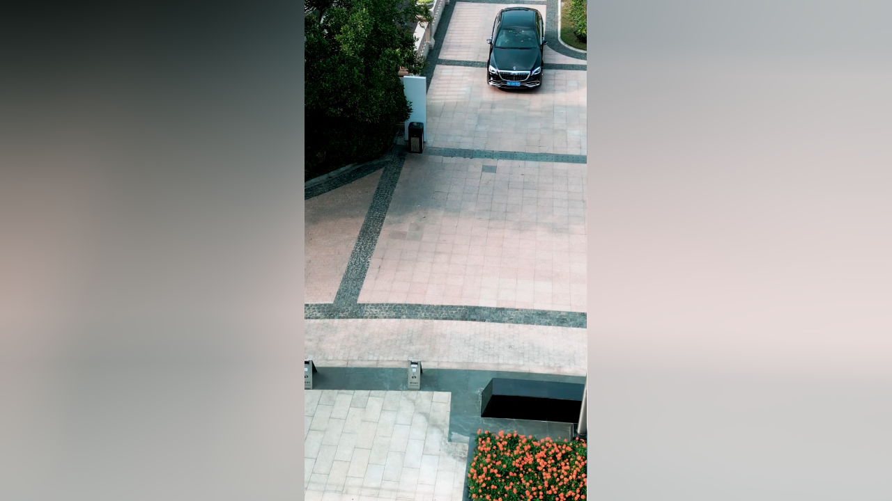 化龙丨第4集:云雀国际楚洺携云纹黑卡,请青君归位!