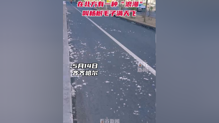 在北方有一种"浪漫"叫杨树毛子满天飞